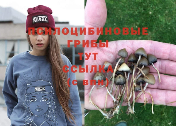 экстази Кулебаки