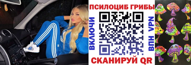 Псилоцибиновые грибы мицелий  Купить где  Усмань 